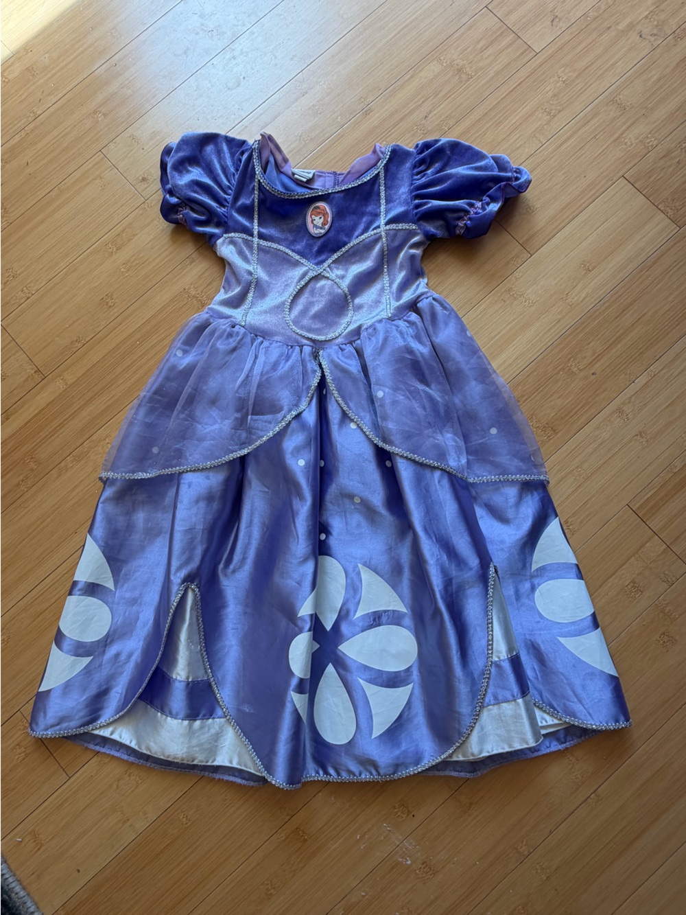 Disney Sophia The First Dress